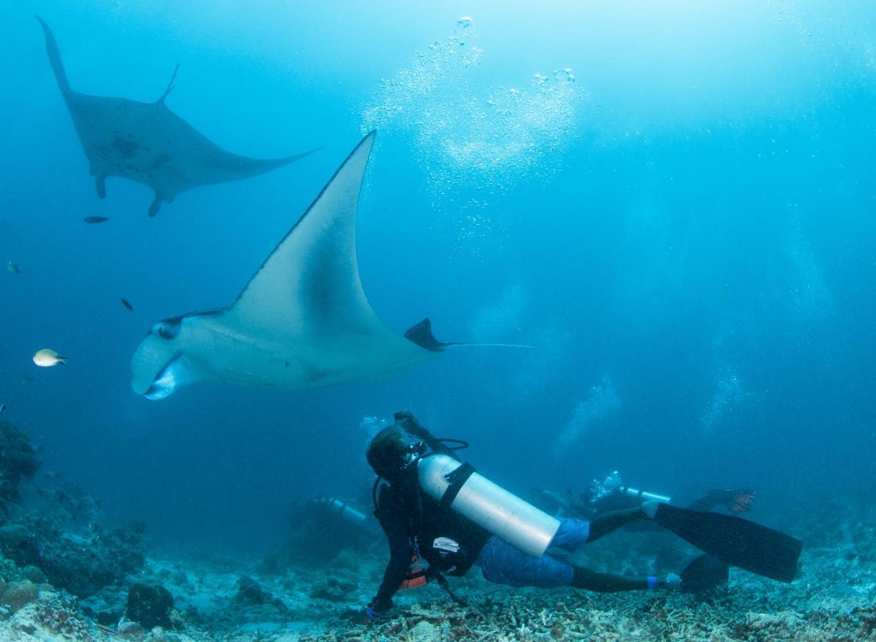 Hotel South Ari Dive Center Dhangethi Exterior foto