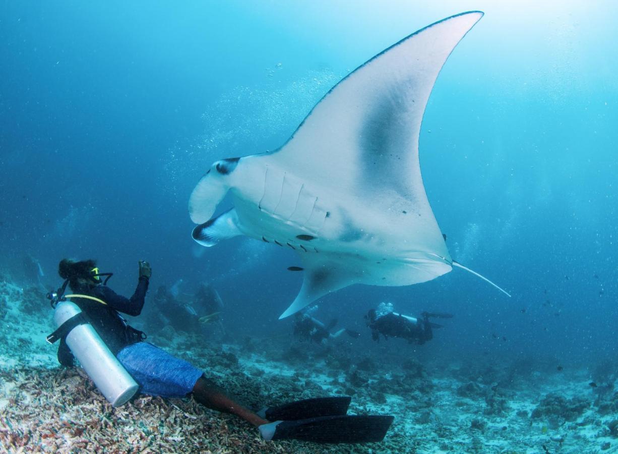 Hotel South Ari Dive Center Dhangethi Exterior foto