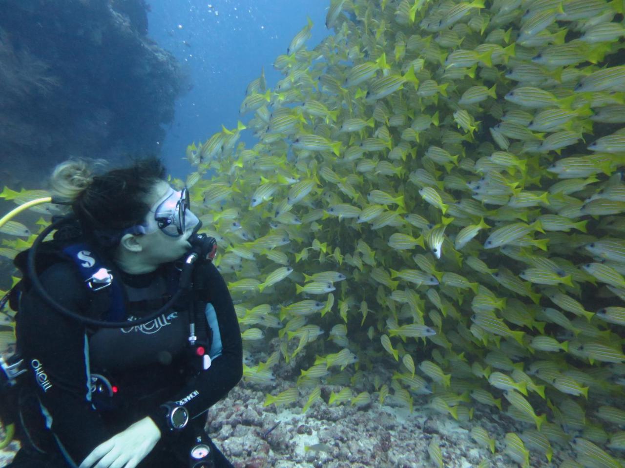 Hotel South Ari Dive Center Dhangethi Exterior foto