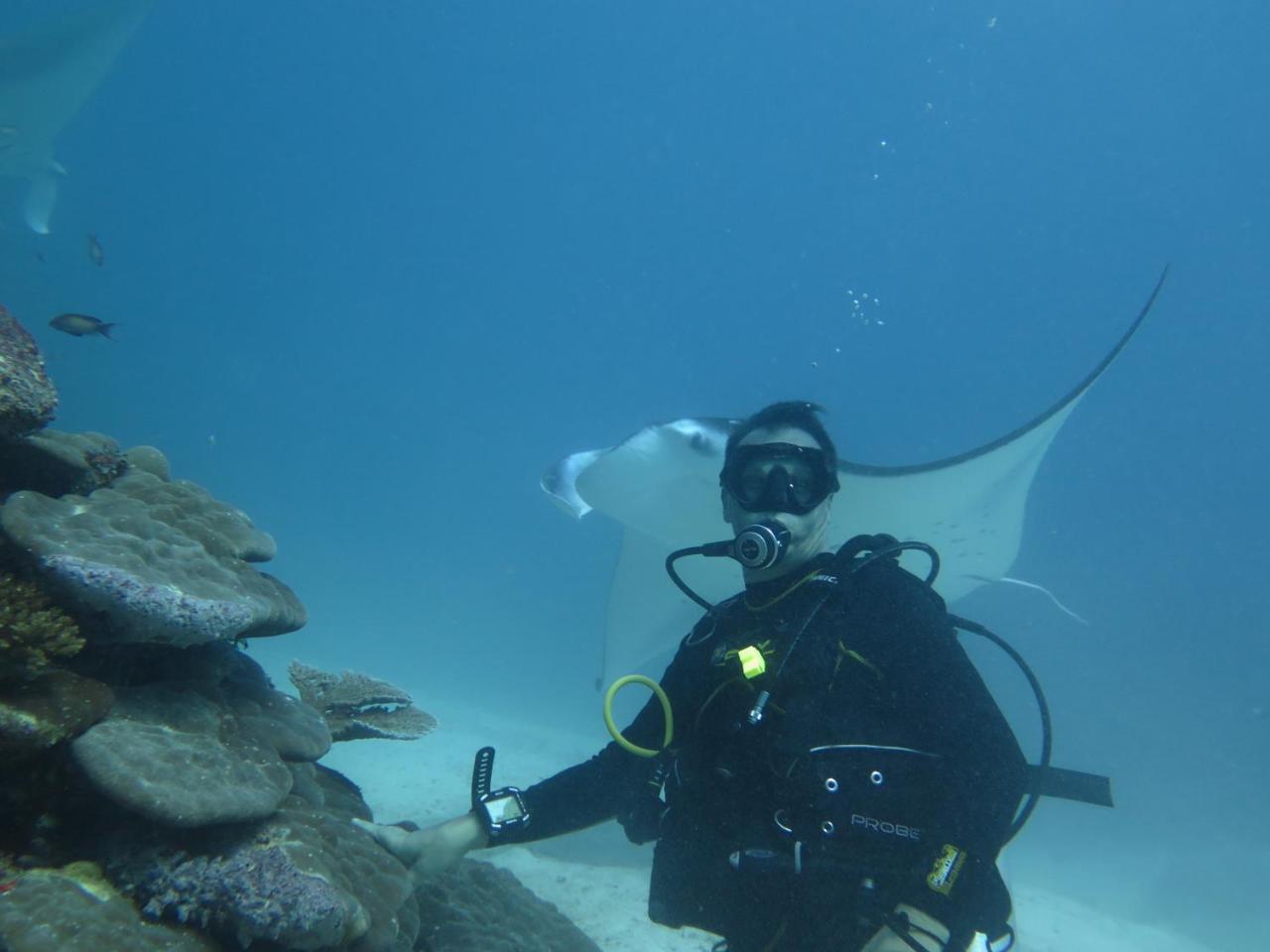 Hotel South Ari Dive Center Dhangethi Exterior foto