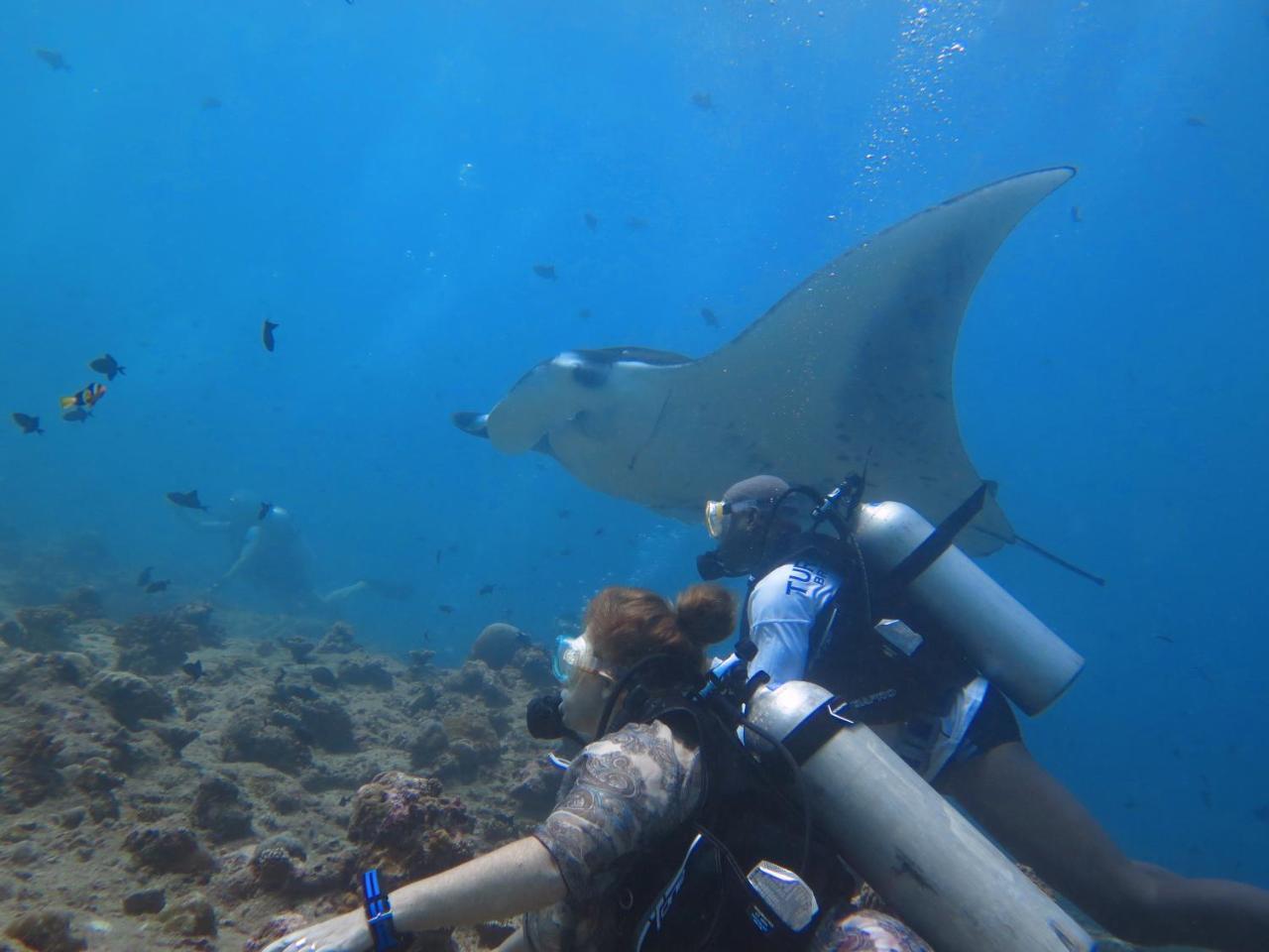 Hotel South Ari Dive Center Dhangethi Exterior foto