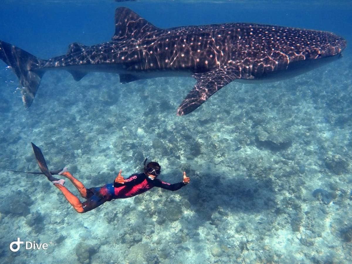 Hotel South Ari Dive Center Dhangethi Exterior foto